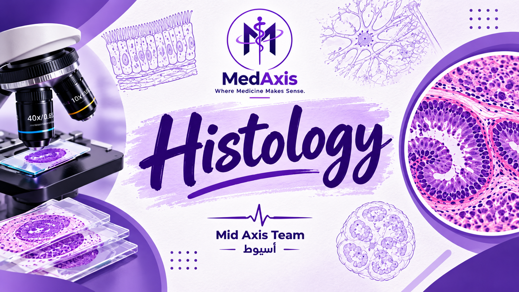 Histology Medaxis Assiut