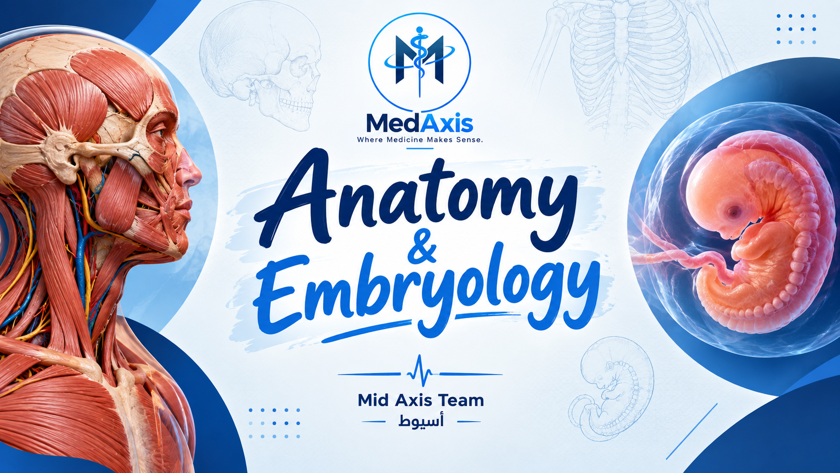Anatomy Medaxis Assiut